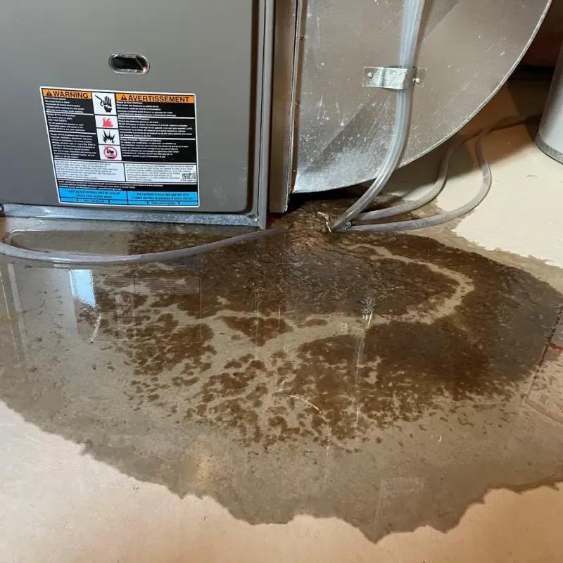 Appliance Leak Cleanup in Mount Pleasant, MI